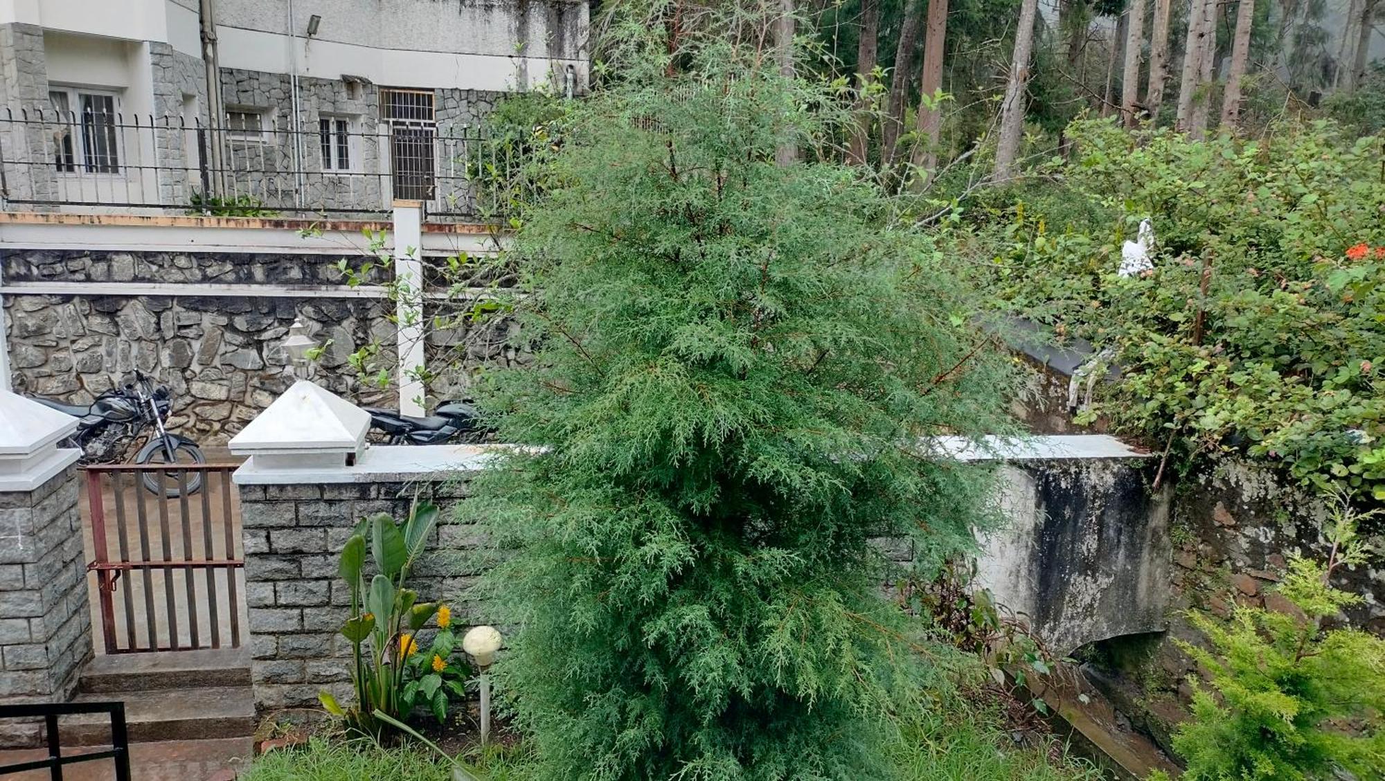 Kodai King Suite Tamilnadu - Tamilnadu - Kodaikanal Esterno foto