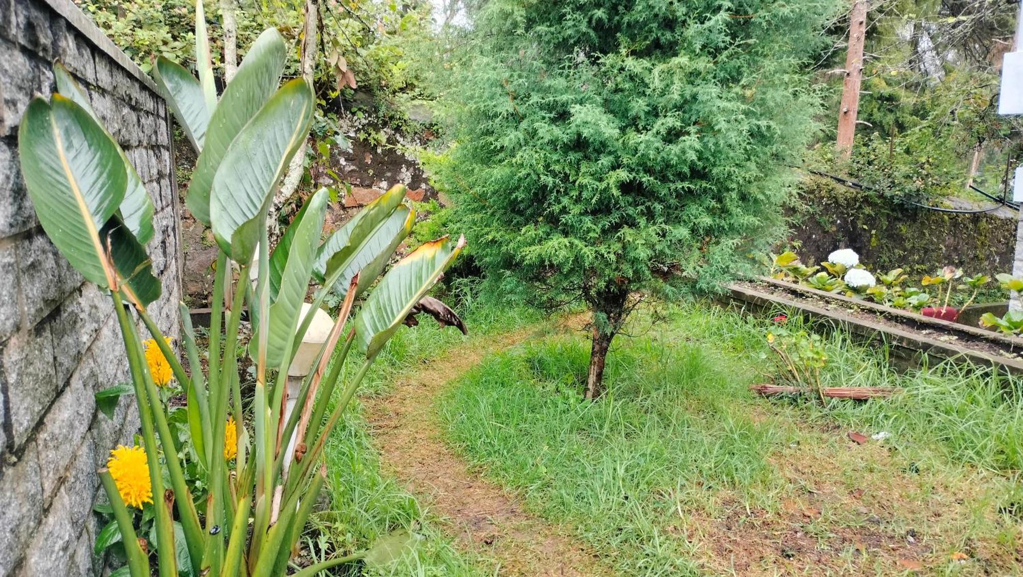 Kodai King Suite Tamilnadu - Tamilnadu - Kodaikanal Esterno foto